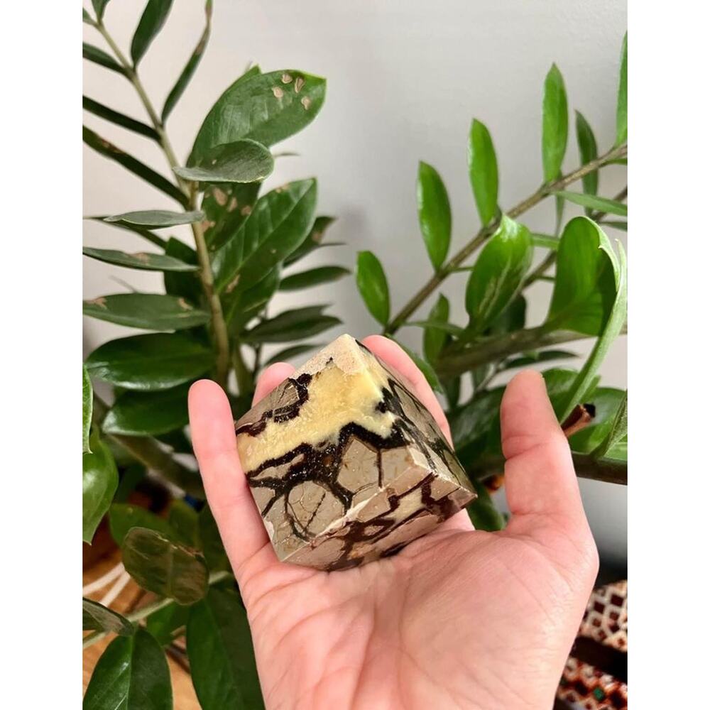 Cut Base Septarian Cube